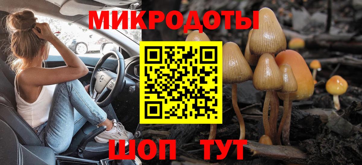 A PVP Петропавловск-Камчатский