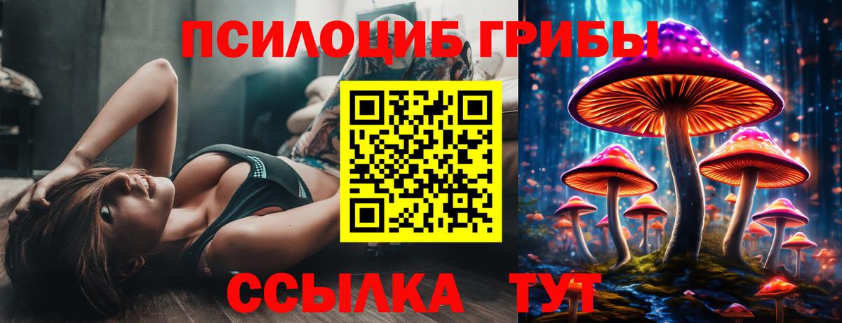 Псилоцибиновые грибы Psilocybine cubensis  Вход с VPN  Петропавловск-Камчатский 