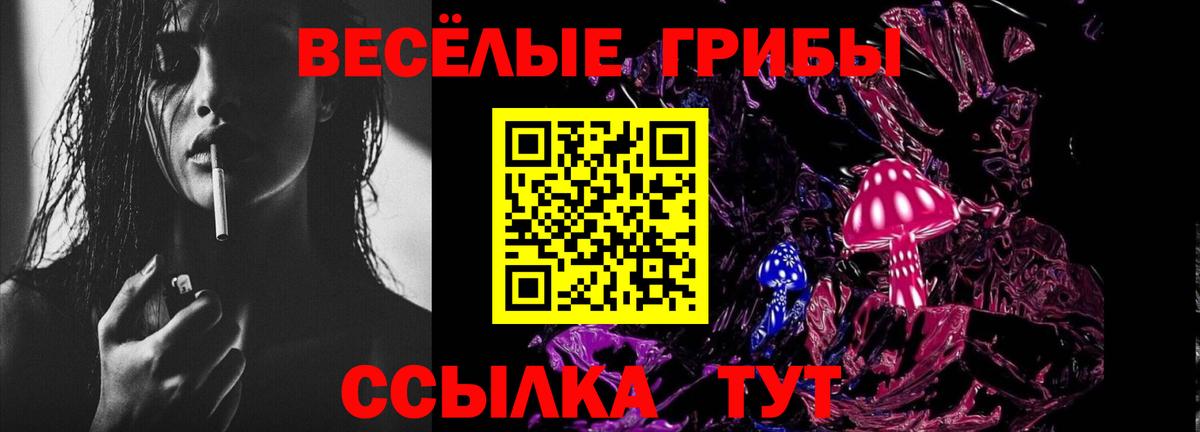 Галлюциногенные грибы MAGIC MUSHROOMS Петропавловск-Камчатский